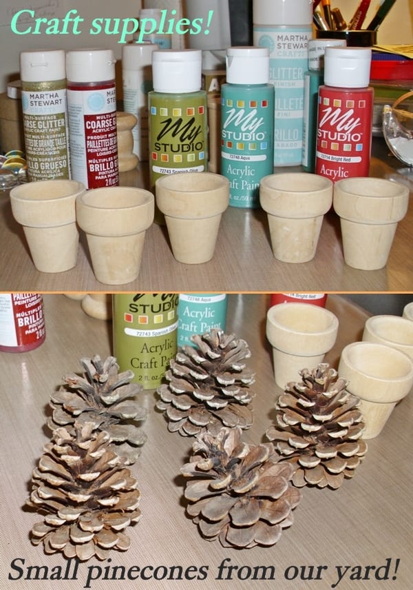 pinecone tree pot supplies