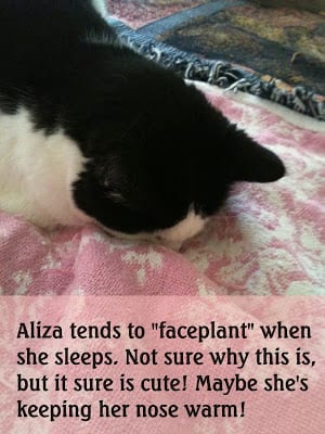 Aliza doing a "faceplant" while she sleeps!