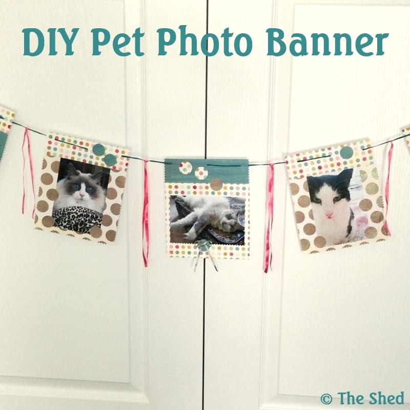 DIY Pet Photo Banner