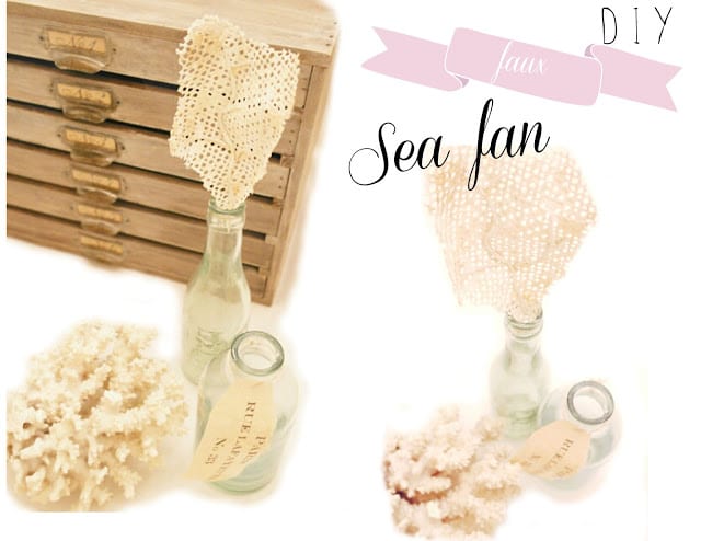 sea fan craft