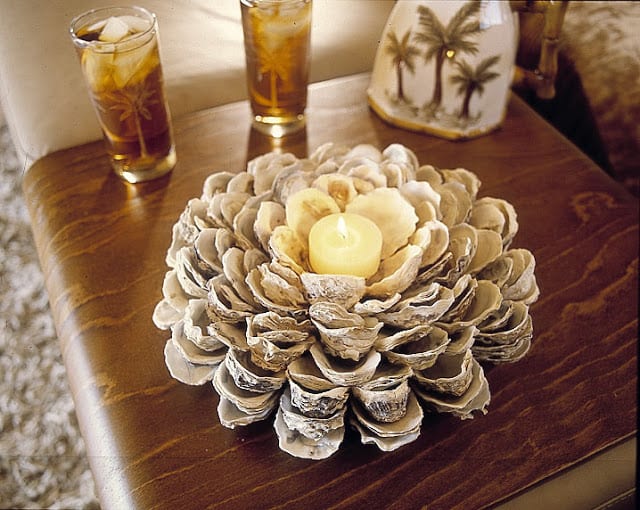 seashell candle holder