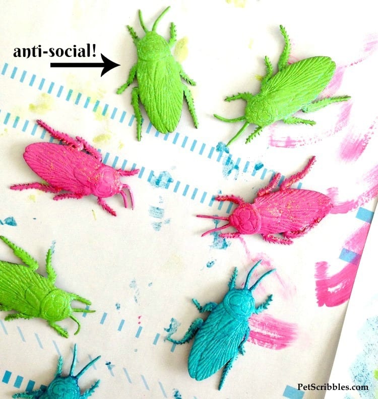 pretty cockroaches painted in bright colors