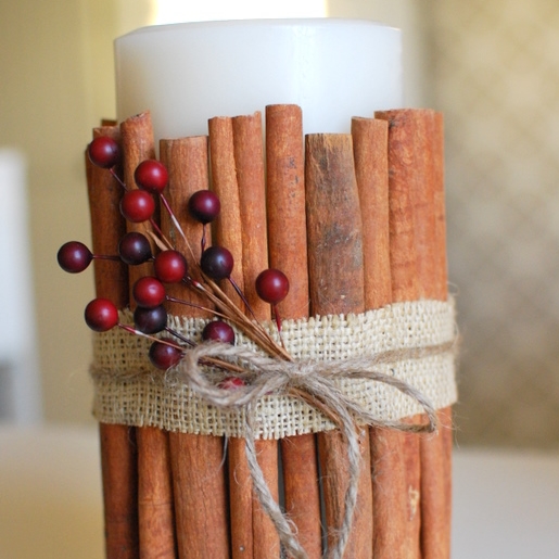 Cinnamon Stick Candle Tutorial | Craftaholics Anonymous