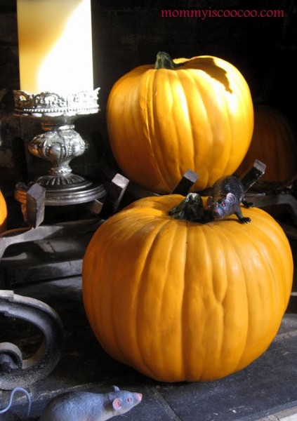 Pumpkins indoors grouped together for impact! via Mommy is Coocoo Pumpkins indoors grouped together for impact! via Mommy is Coocoo