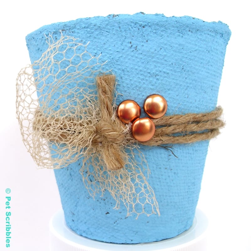 Peat Pot Wedding Favor painted with bright blue chalk paint