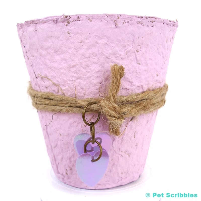 Peat Pot Wedding Favors painted with lavender Chalky Finish Paint