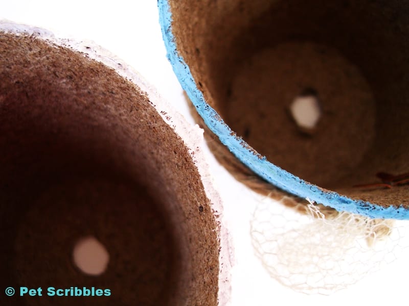 edges of painted peat pots close up view