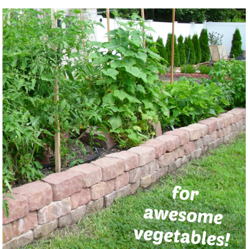 How to Build a Raised Garden Bed for Awesome Vegetables!
