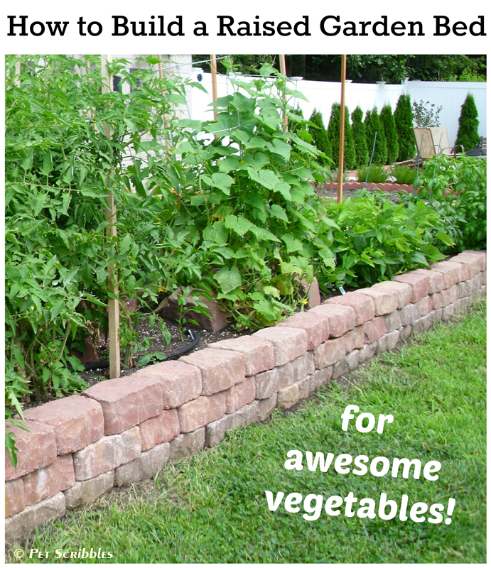 How to Build a Raised Garden Bed for Awesome Vegetables!