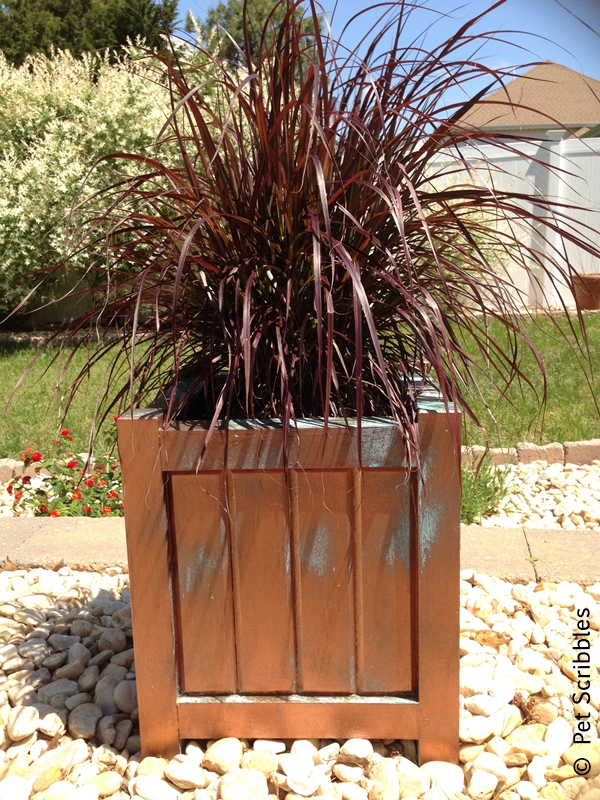 DIY Faux Copper Patina Planters: an update on how the copper patina paint finish is holding up outdoors.