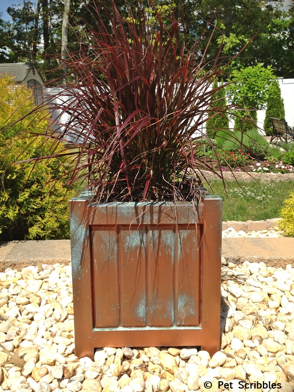 DIY Faux Copper Patina Planters: an update on how the copper patina paint finish is holding up outdoors.