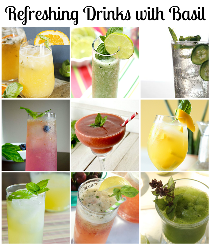 Basil Drinks 10 Refreshing Recipes!