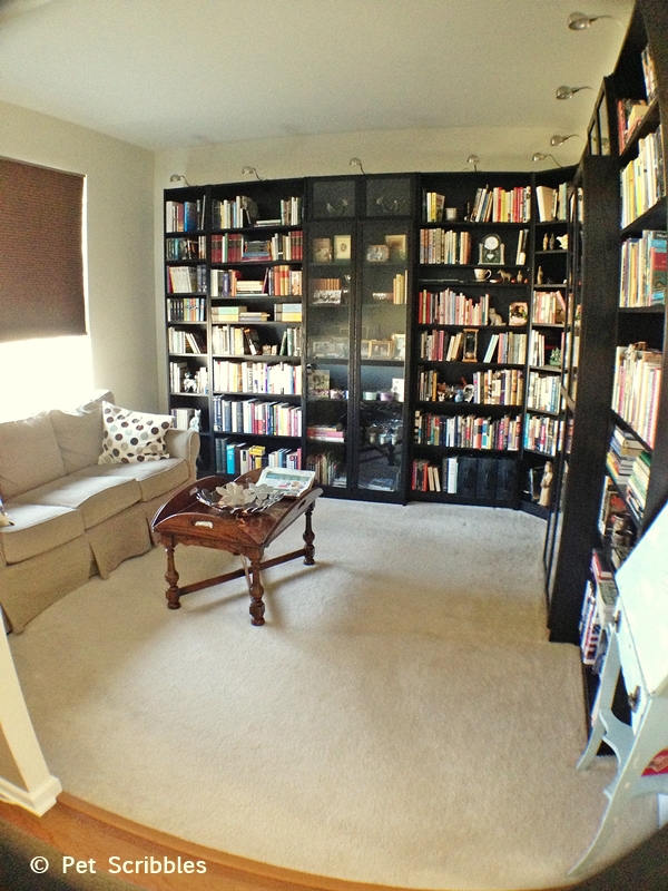 Library Room Makeover With Ikea Bookcases Pet Scribbles