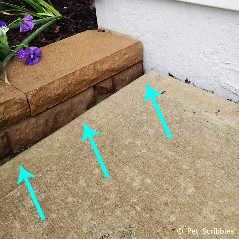 Mudjacking is a way to raise sinking concrete driveways, sidewalks or concrete slabs (like a patio) back up to where they should be. 