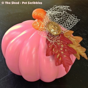 Pretty Pink Pumpkin (from a dollar store light-up, orange, plastic one!)