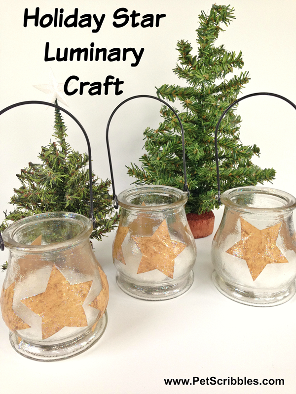 Holiday Star Luminary Craft #holidaygifthoa