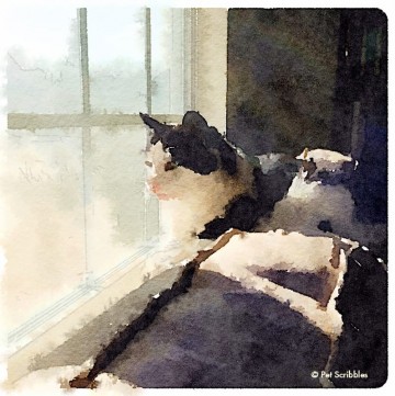 Aliza - painted in Waterlogue app