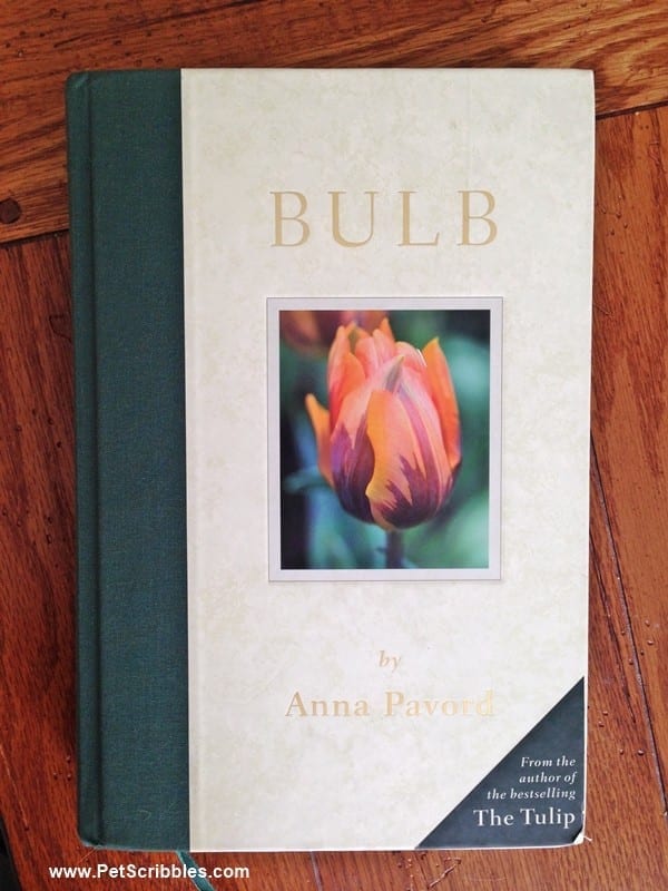 Bulb book by Anna Pavord