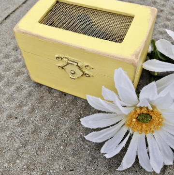 DIY Wedding: Wood Box Wedding Favor