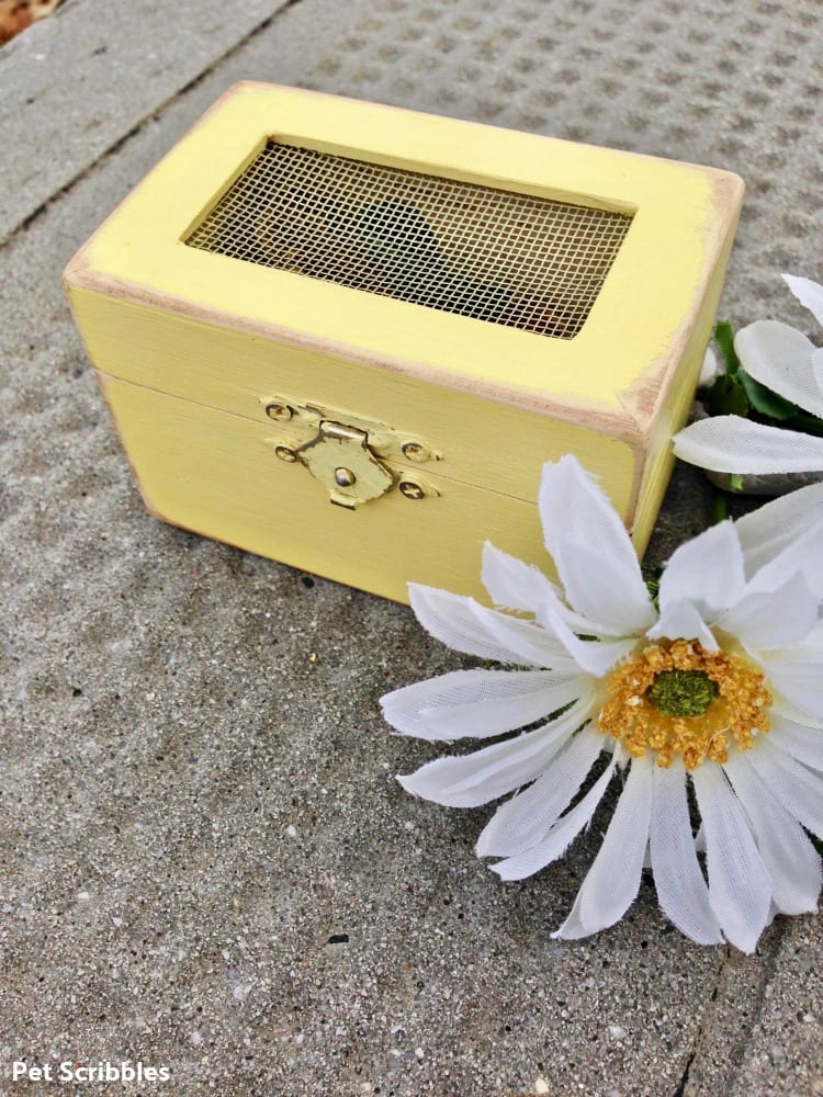 Wood Box Wedding Favor