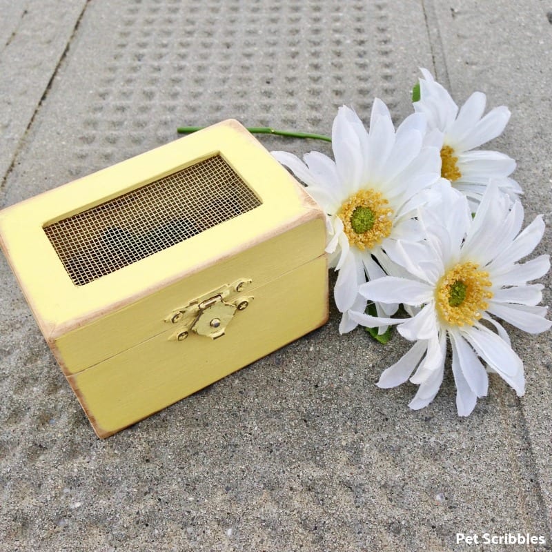 Wooden Box Wedding Favor