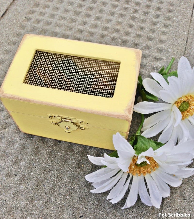 keepsake wood box wedding favor