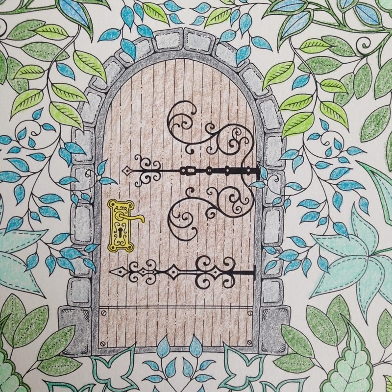 adult coloring book page