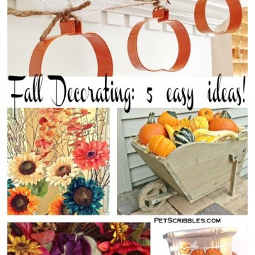 Fall Decorating: 5 easy ideas!