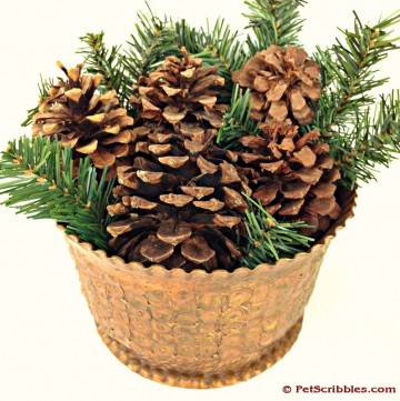Easy Christmas Decorating with pinecones and greens
