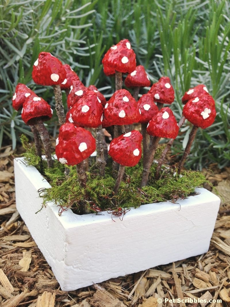 How to make charming fairy garden mushrooms from acorns and twigs!