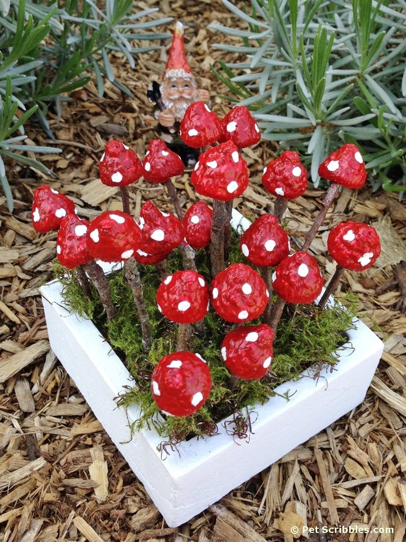 How to make charming fairy garden mushrooms from acorns and twigs!