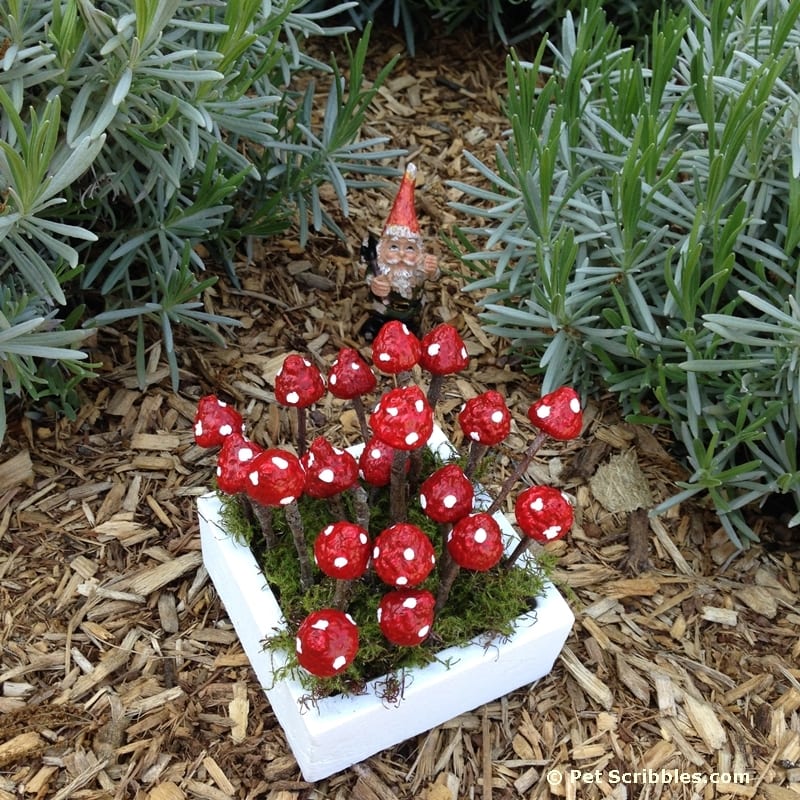 How to make charming fairy garden mushrooms from acorns and twigs!