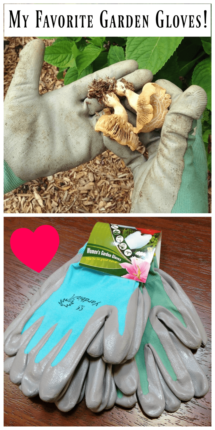 My favorite nitrile gardening gloves are the best! Here's why...