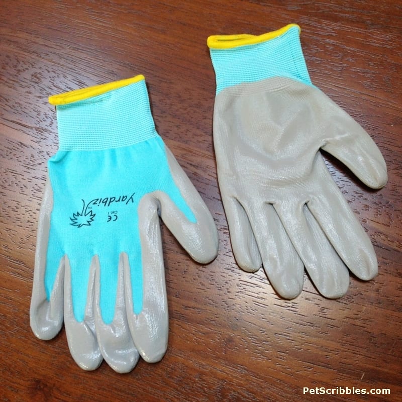 My favorite garden gloves are the best! Here's why...