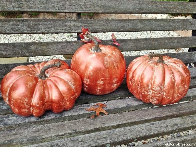 DIY Copper Pumpkins with Metallic Paint