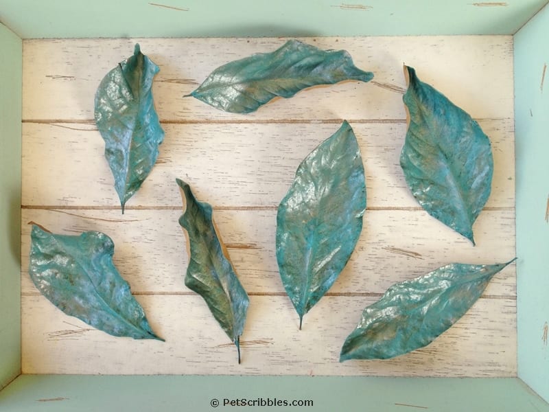 Painted Magnolia Leaves DIY -- how to paint your own for decor, wreaths and weddings!