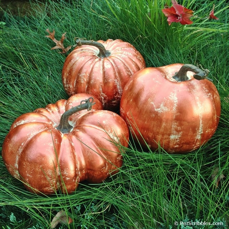 Copper Pumpkins Tutorial