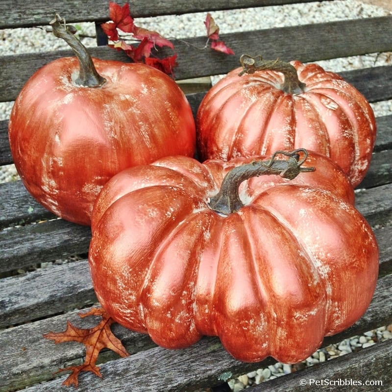 Make Copper Pumpkins with Metallic Paint