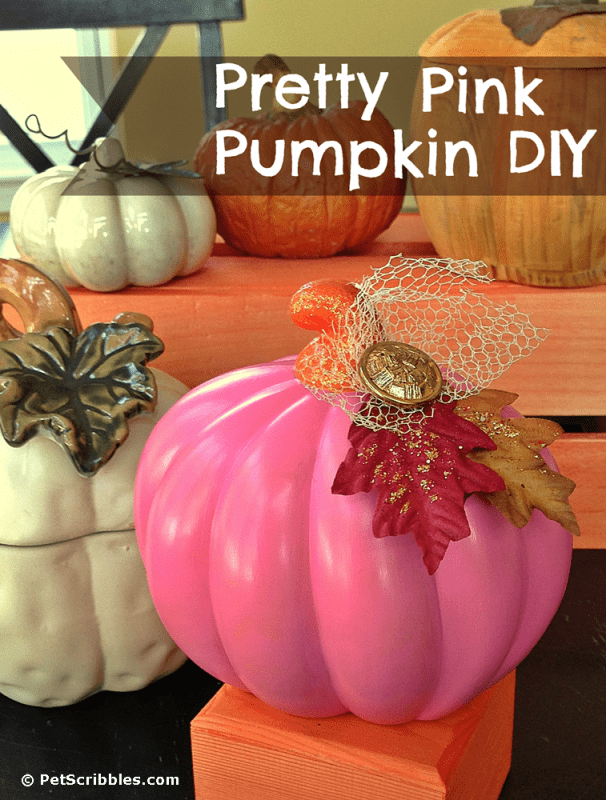 Pretty Pink Pumpkin DIY