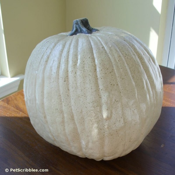 How to make a pretty pumpkin with layered embellishments - Garden ...