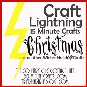 Craft Lightning 2016 Edition of Holiday Crafts that take less than 15 minutes to create!