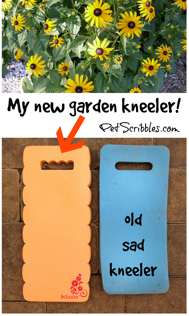 My New Garden Kneeler: yes, my knees are happy!