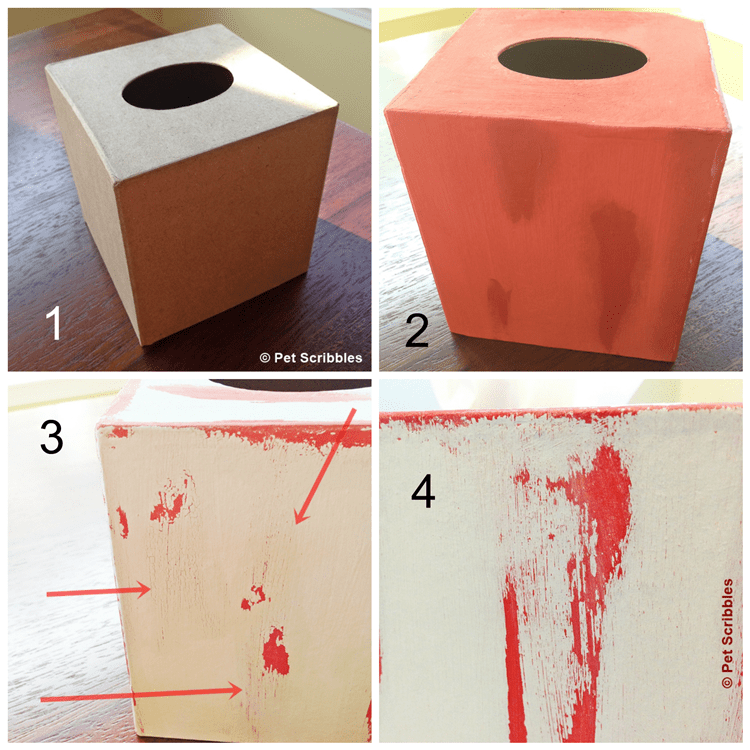 paint a paper mache tissue box