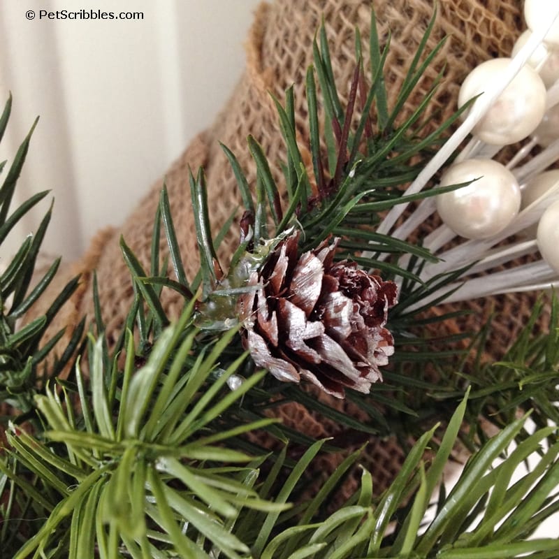 use paint to give pinecones a frosted look