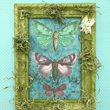 Welcome in Spring with Pretty Painted Butterflies! If you love to color, you'll love this!