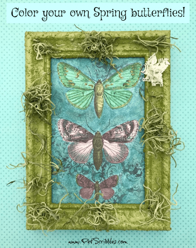 Welcome in Spring with Pretty Painted Butterflies! If you love to color, you'll love this!