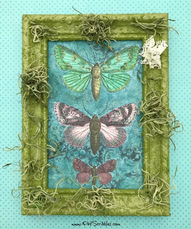 Welcome in Spring with Pretty Painted Butterflies! If you love to color, you'll love this!