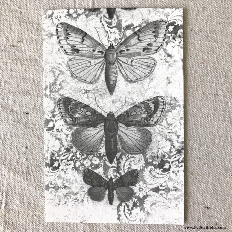 Welcome in Spring with Pretty Painted Butterflies! If you love to color, you'll love this!