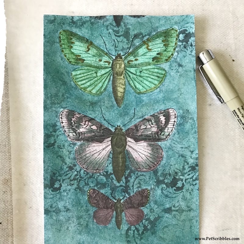 Welcome in Spring with Pretty Painted Butterflies! If you love to color, you'll love this!