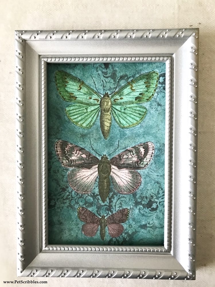 Welcome in Spring with Pretty Painted Butterflies! If you love to color, you'll love this!